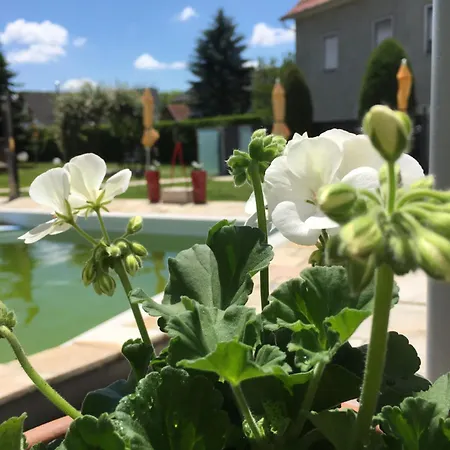Seminar & Urlaubshotel Oststeirischer Hof 4*